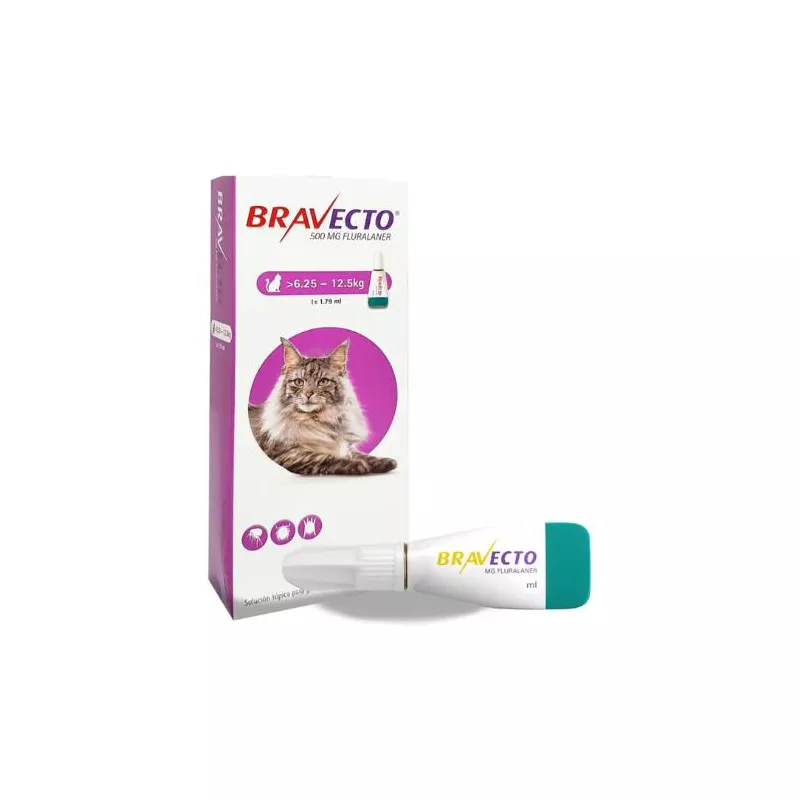 gsc_117637733_1840772_1